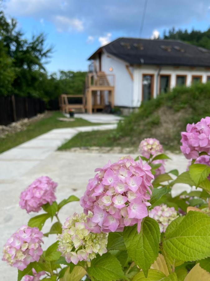 Casa Thymus Soveja Exterior foto